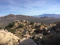 Mojave
